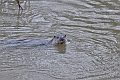 04 01 17_5378_edited-2